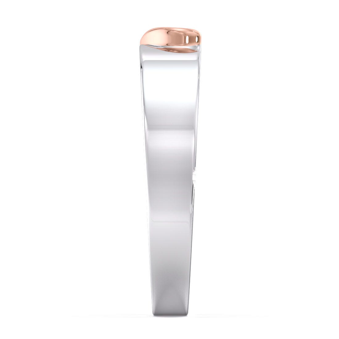 Phil Platinum And Rose Gold Band For Him