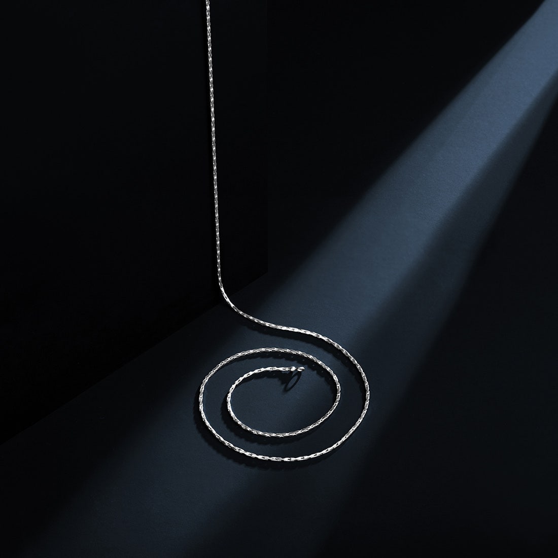 Wayne Platinum Chain