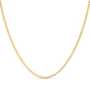 Timeless Plain Gold Box Chain