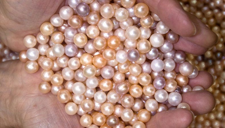 Freshwater Pearls in Pearl Jewellery