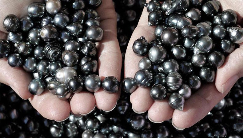 Tahitian Pearls in Pearl Jewellery